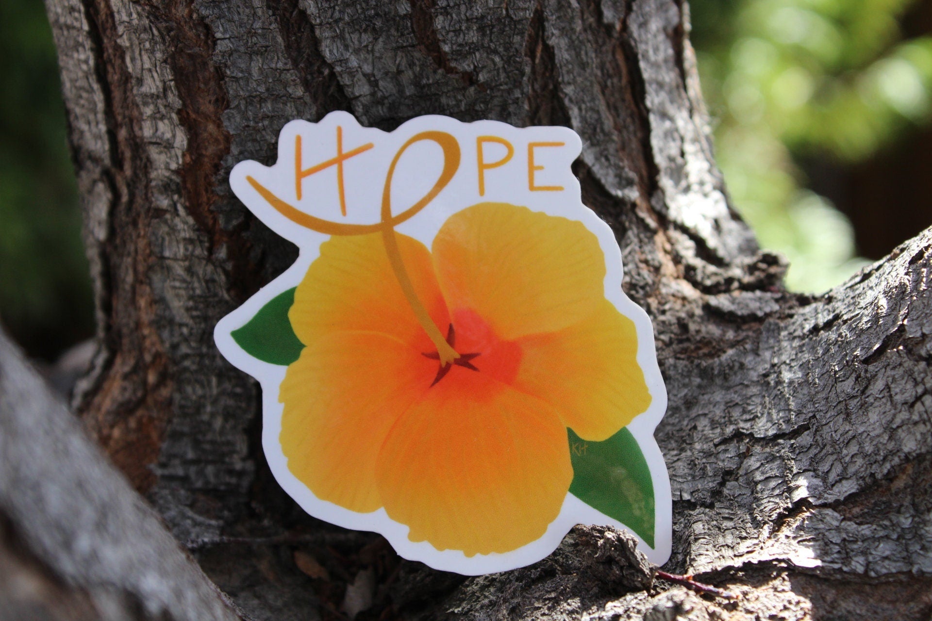 Hibiscus of Hope Sticker