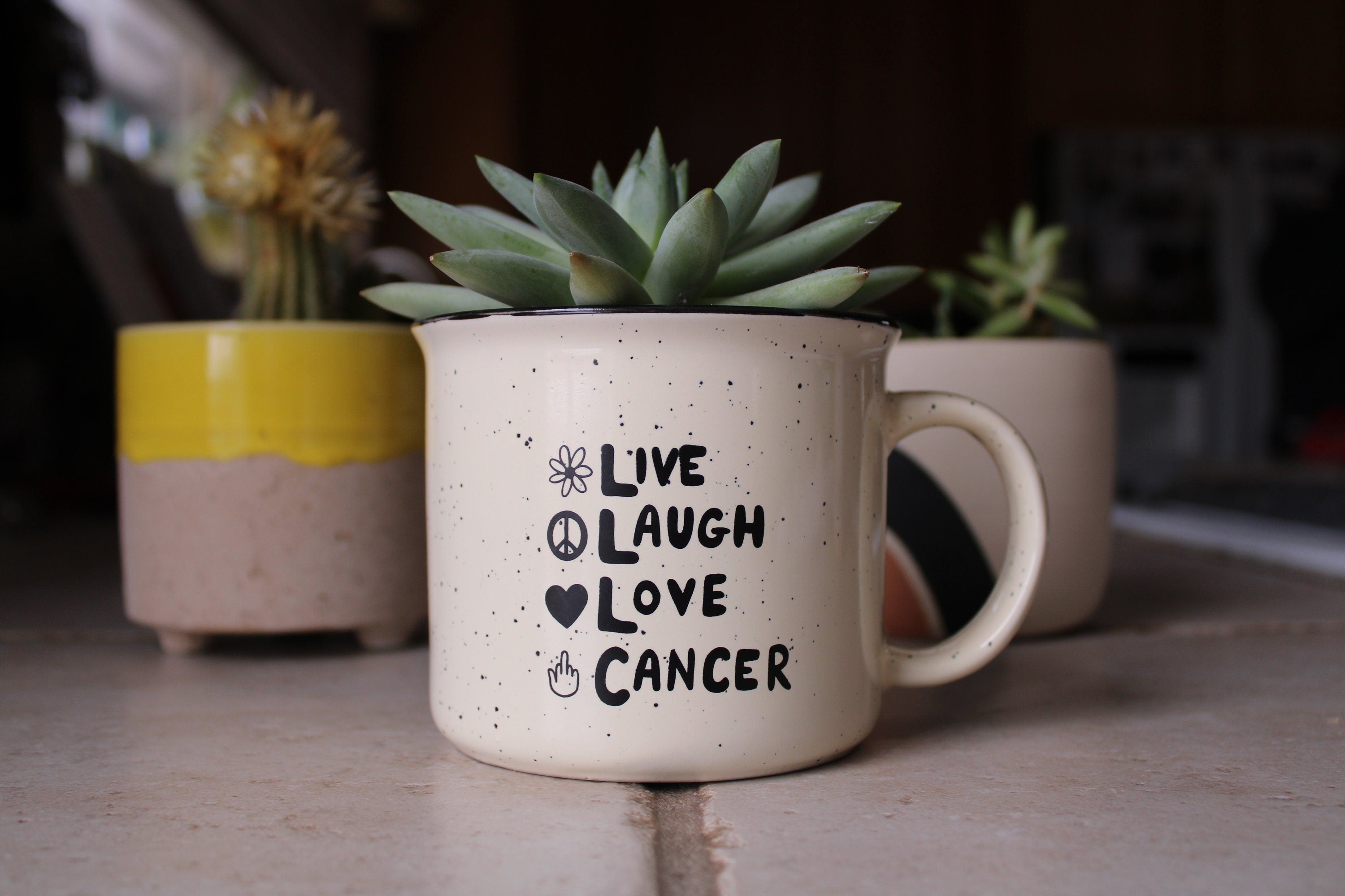 Live, Laugh, Love Parody - Campfire Mug