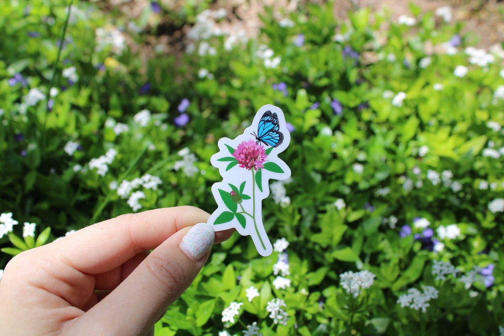 Blue Butterfly Sticker