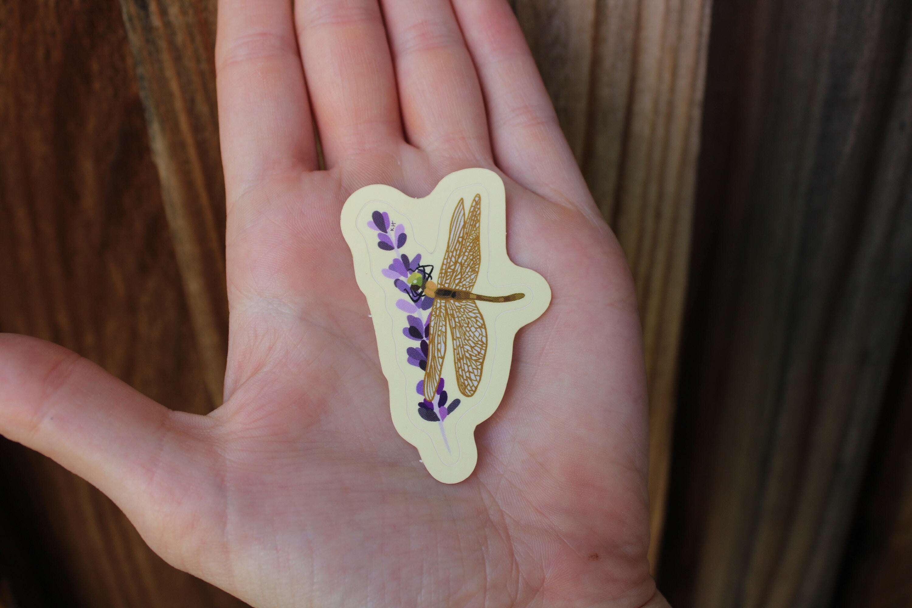 Resting Dragonfly Sticker