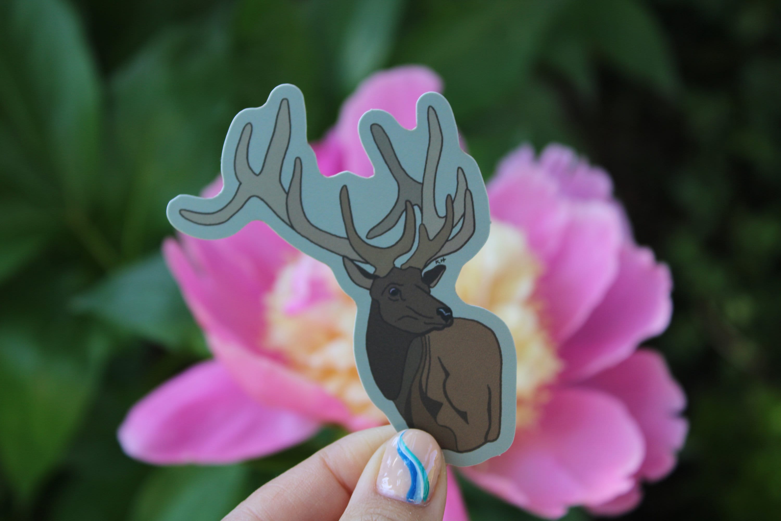 Bull Elk Sticker
