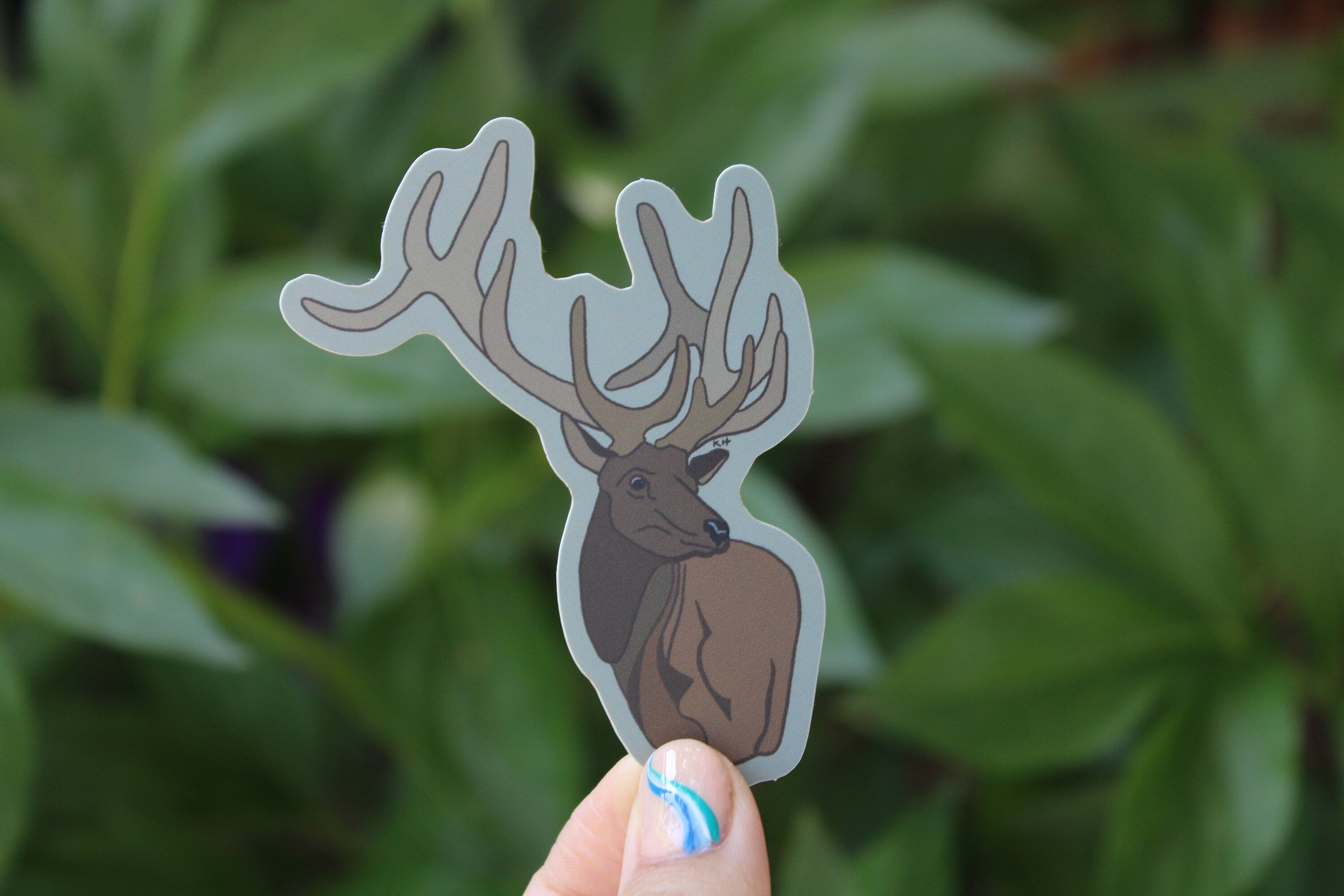 Bull Elk Sticker