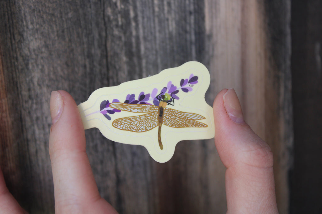 Resting Dragonfly Sticker