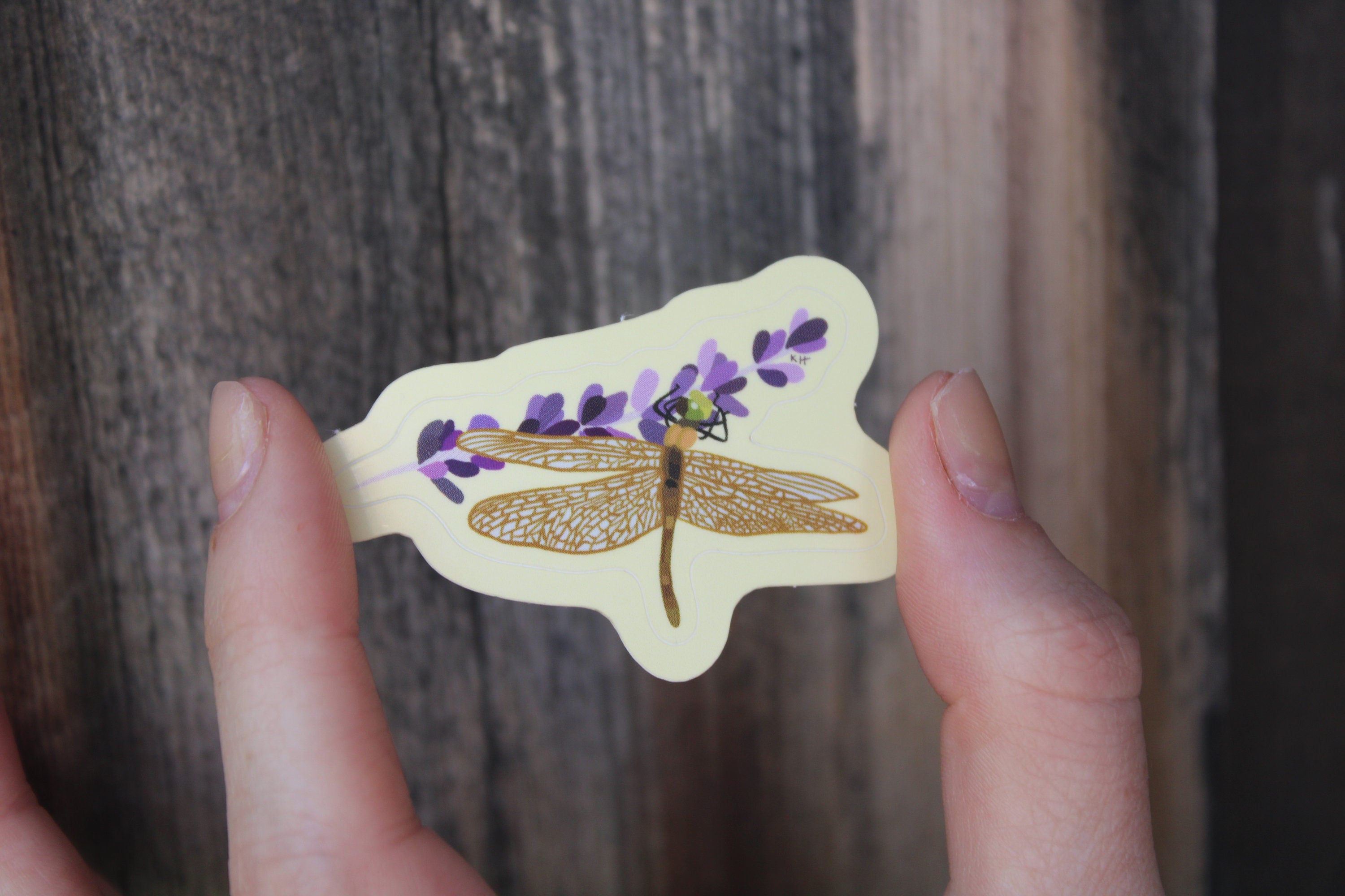 Resting Dragonfly Sticker