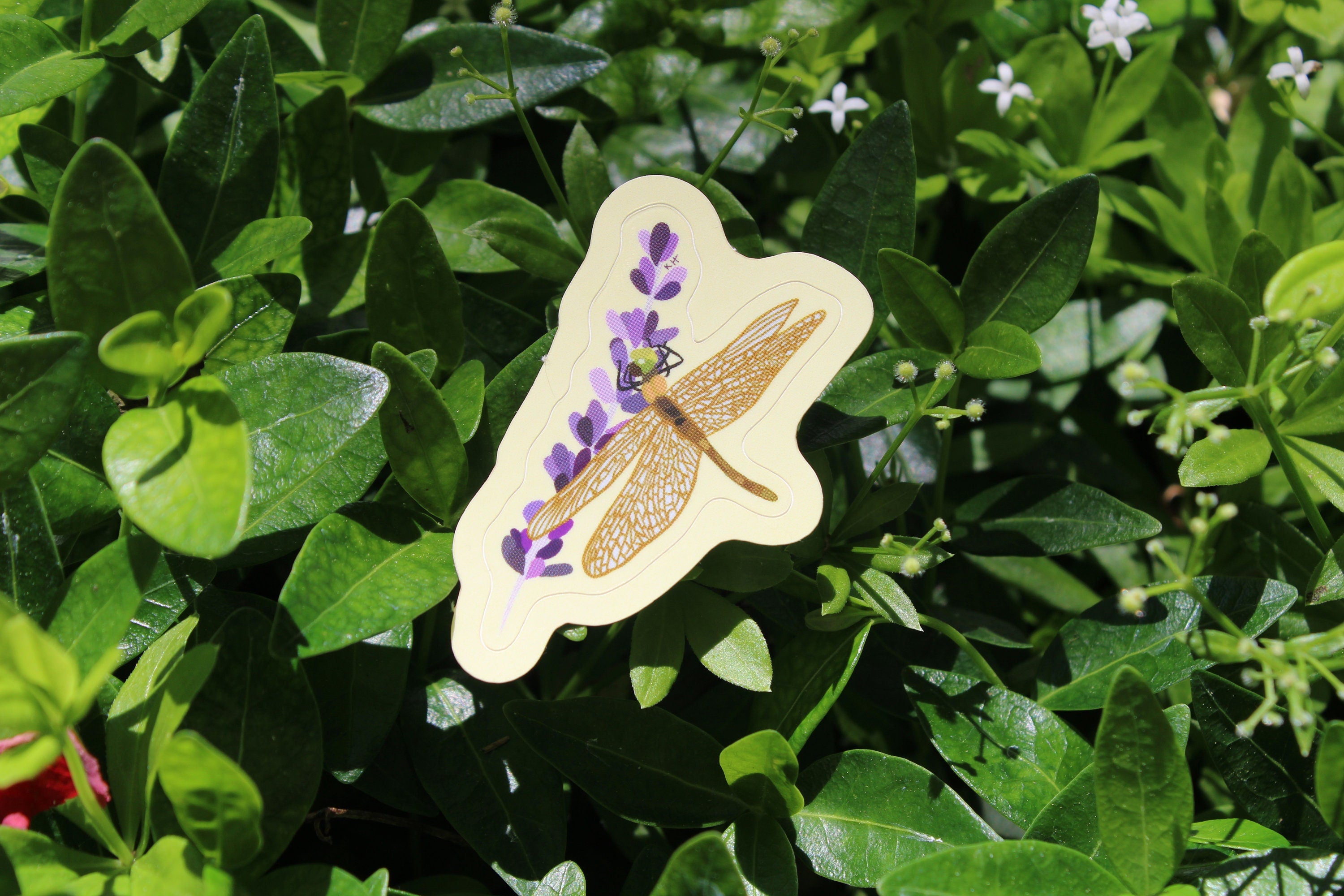 Resting Dragonfly Sticker
