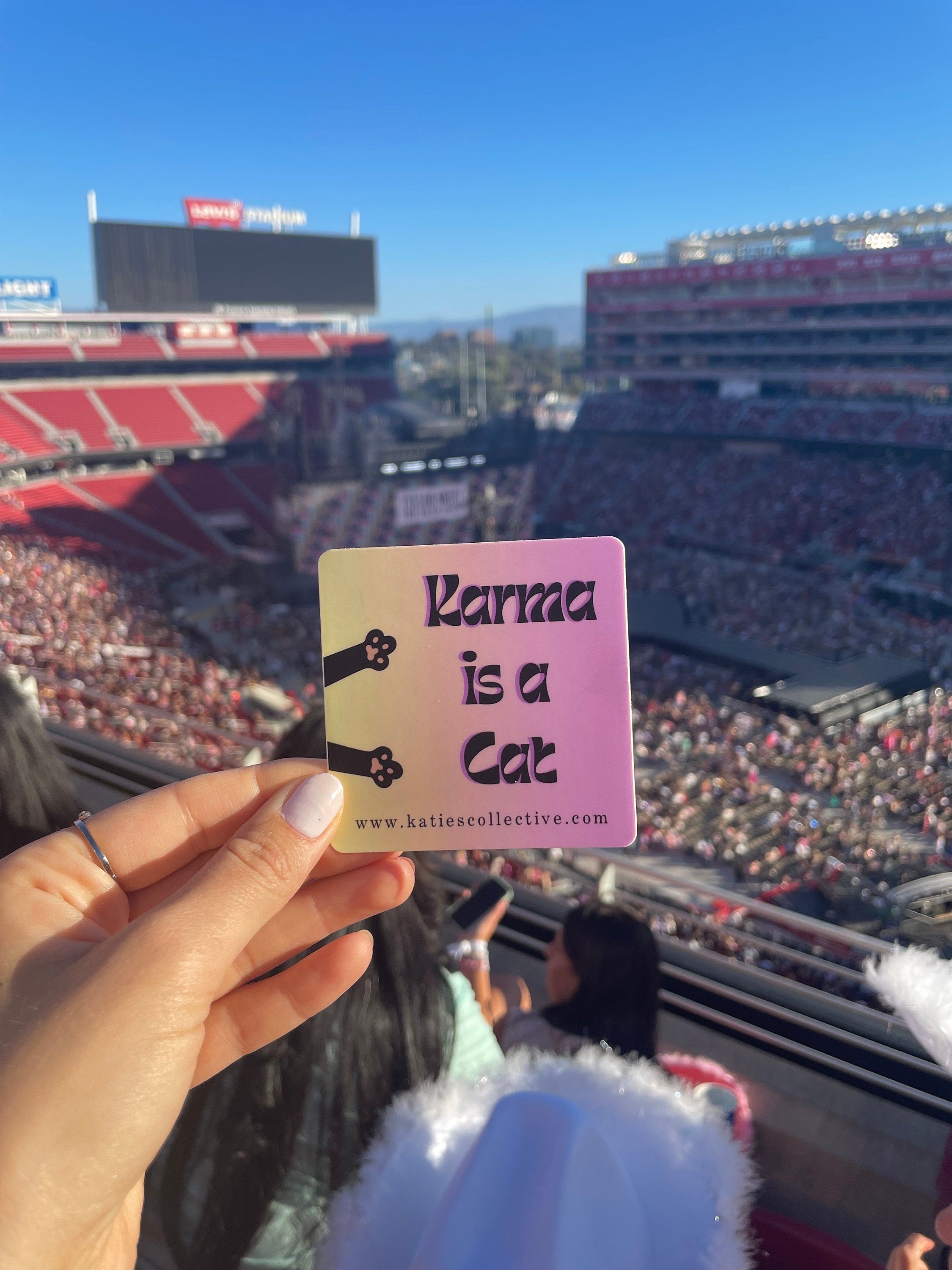 Karma is a Cat - Taylor Swift Sticker