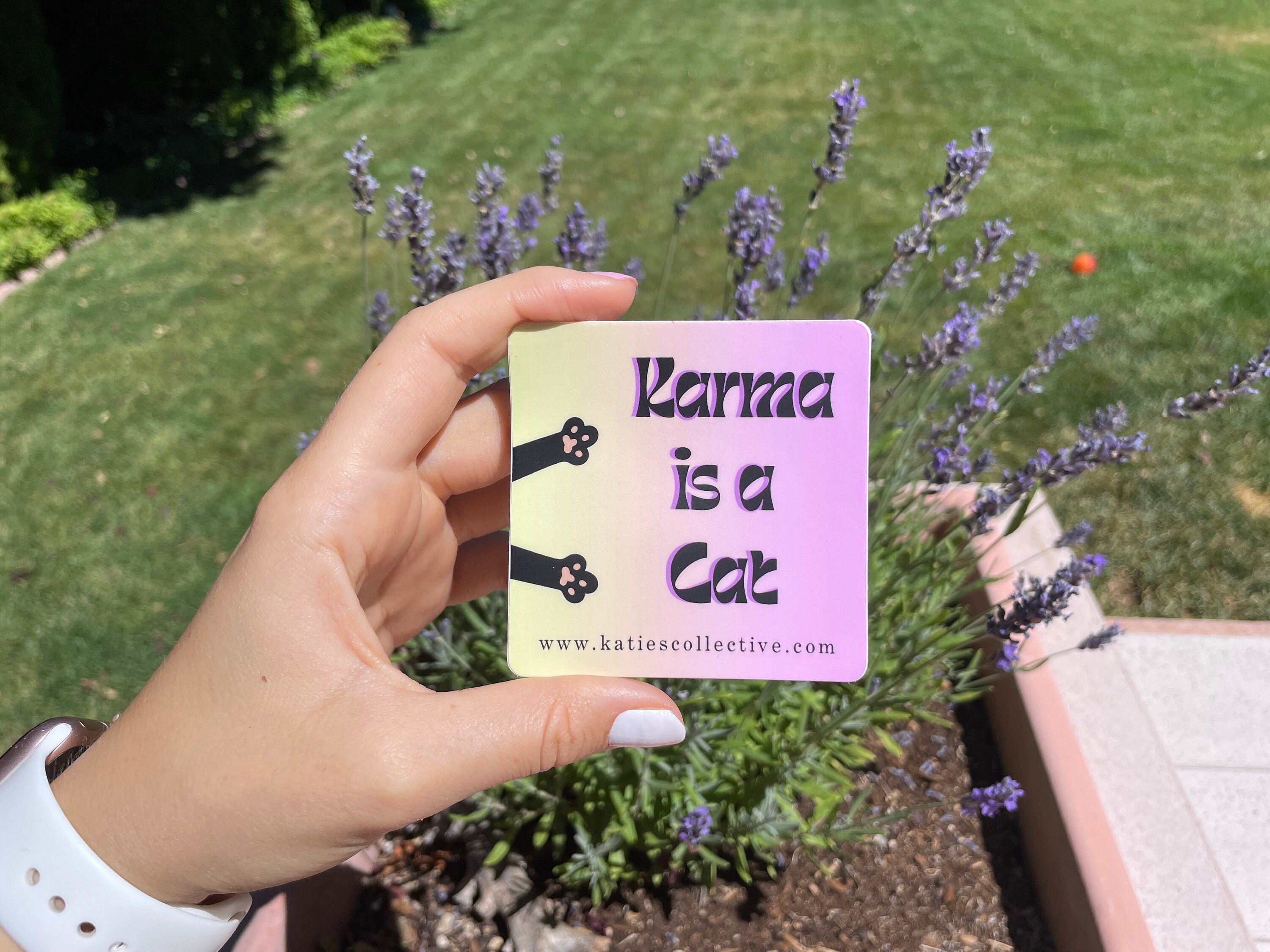 Karma is a Cat - Taylor Swift Sticker