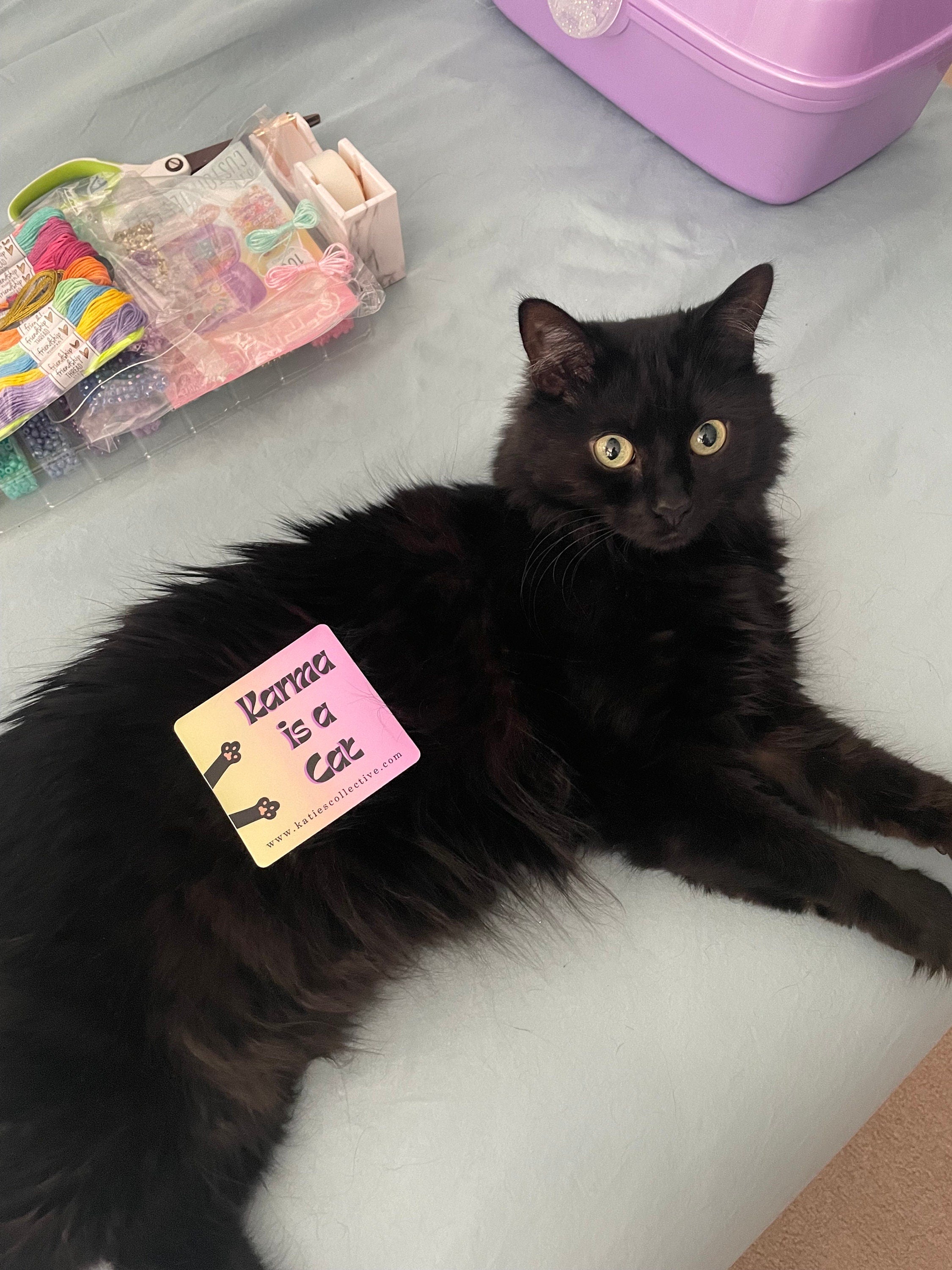Karma is a Cat - Taylor Swift Sticker