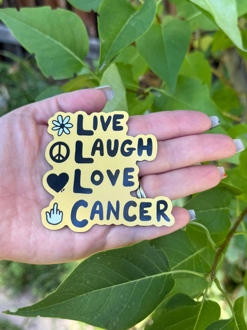 Live Laugh Love Parody Magnet